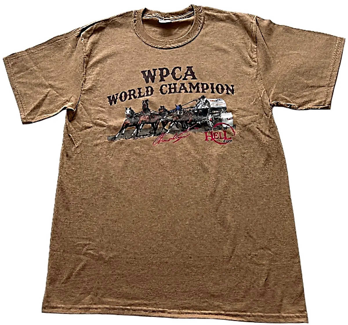 2025 World Champion T-shirt
