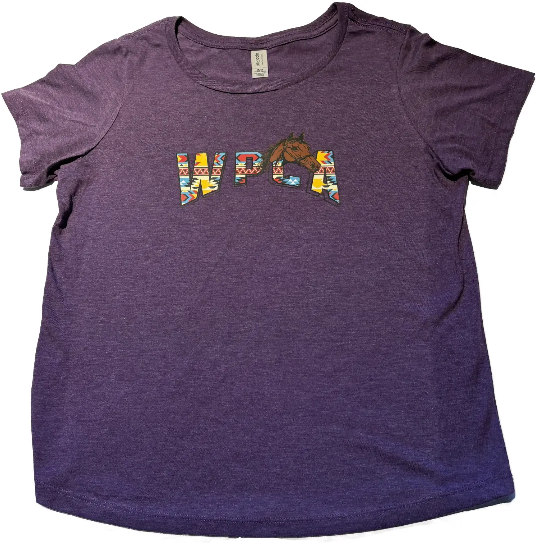Ladies Scoop Neck T-Shirt